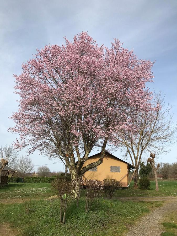 Le Mondou Saint-Julien-de-Lampon